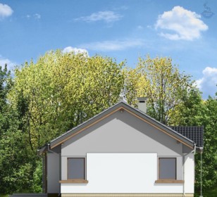 КД-430: одноэтажный каркасный дом 10х10