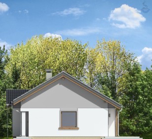 КД-430: одноэтажный каркасный дом 10х10