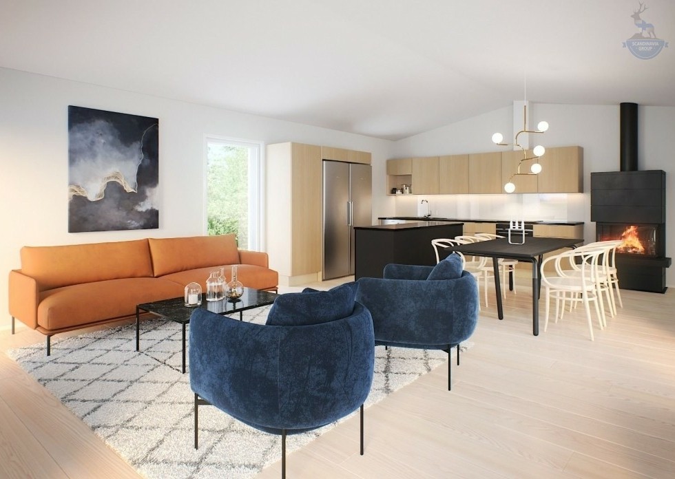 КД-50: одноэтажный каркасный дом в стиле BarnHouse