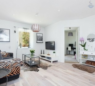 КД-580: одноэтажный каркасный дом с камином