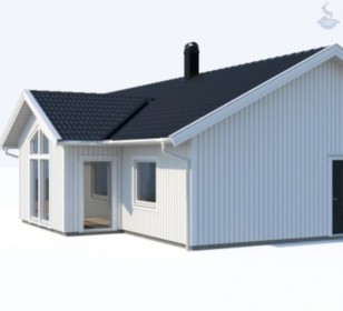 КД-590: одноэтажный каркасный дом с двумя входами