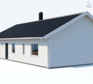 КД-590: одноэтажный каркасный дом с двумя входами