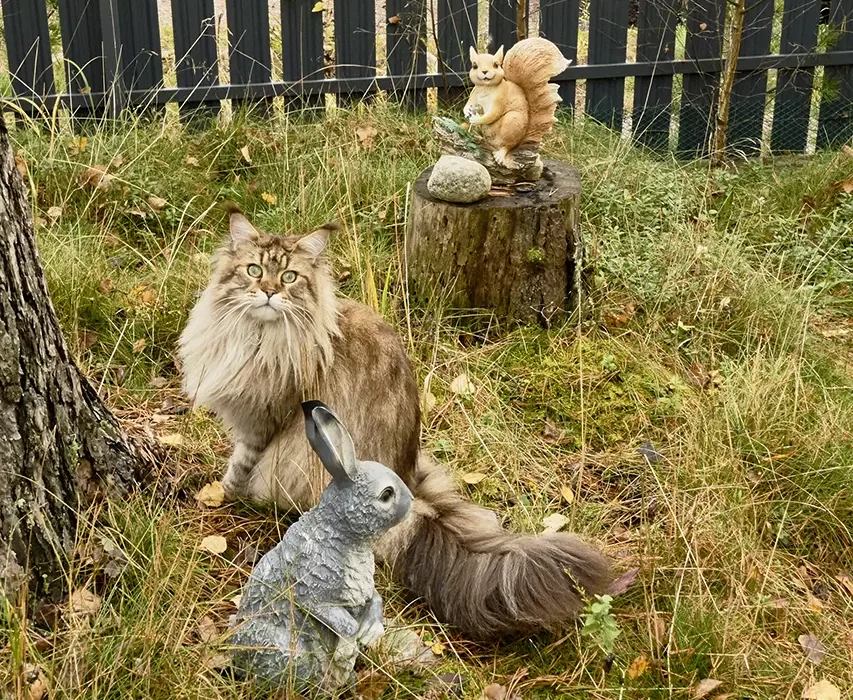 Каркасный дом КД-790 экстерьер